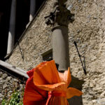 2DSC_6850 - Sovrana eleganza. 2009