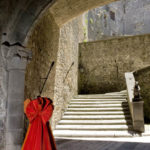 4DSC_6856 - Sovrana eleganza. 2009