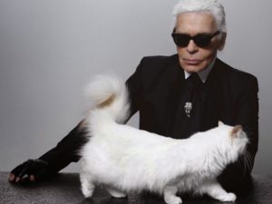 Karl Lagerfled e choupette