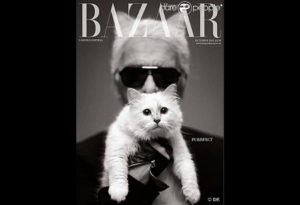 Karl Lagerfled e choupette