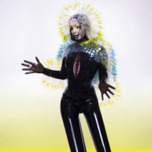 Björk al MoMA-Copertina dell'album Vulnicura-2015
