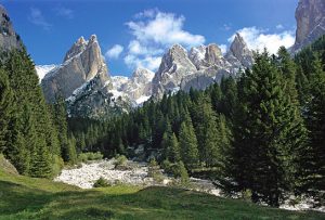 Boschi delle Dolomiti