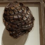 Musei Mazzucchelli ph Alfredo Ghiroldi