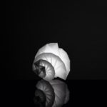 Lampada IN-EI Issey Miyake per Artemide