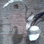 L'eleganza del cibo - ph B. Rossi