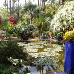 I Giardini di Majorelle