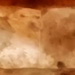 Cane labrador-20188- “SALE Q.B." di P. Sammartano- PhotoFestival 2019