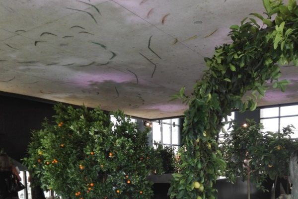 Gentryportofino P/E 2020 ph M. Calzona