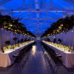 Evento Aqcua di Parma. W37. Courtesy MB